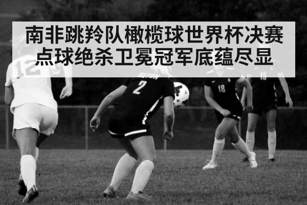 南非跳羚队橄榄球世界杯决赛点球绝杀卫冕冠军底蕴尽显